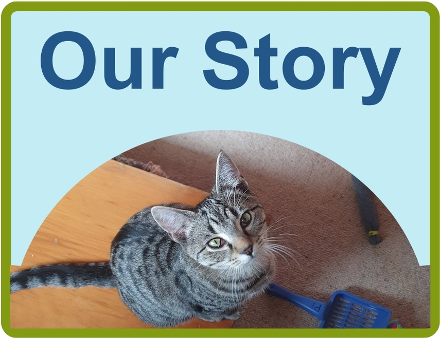 read about the animal rescue story